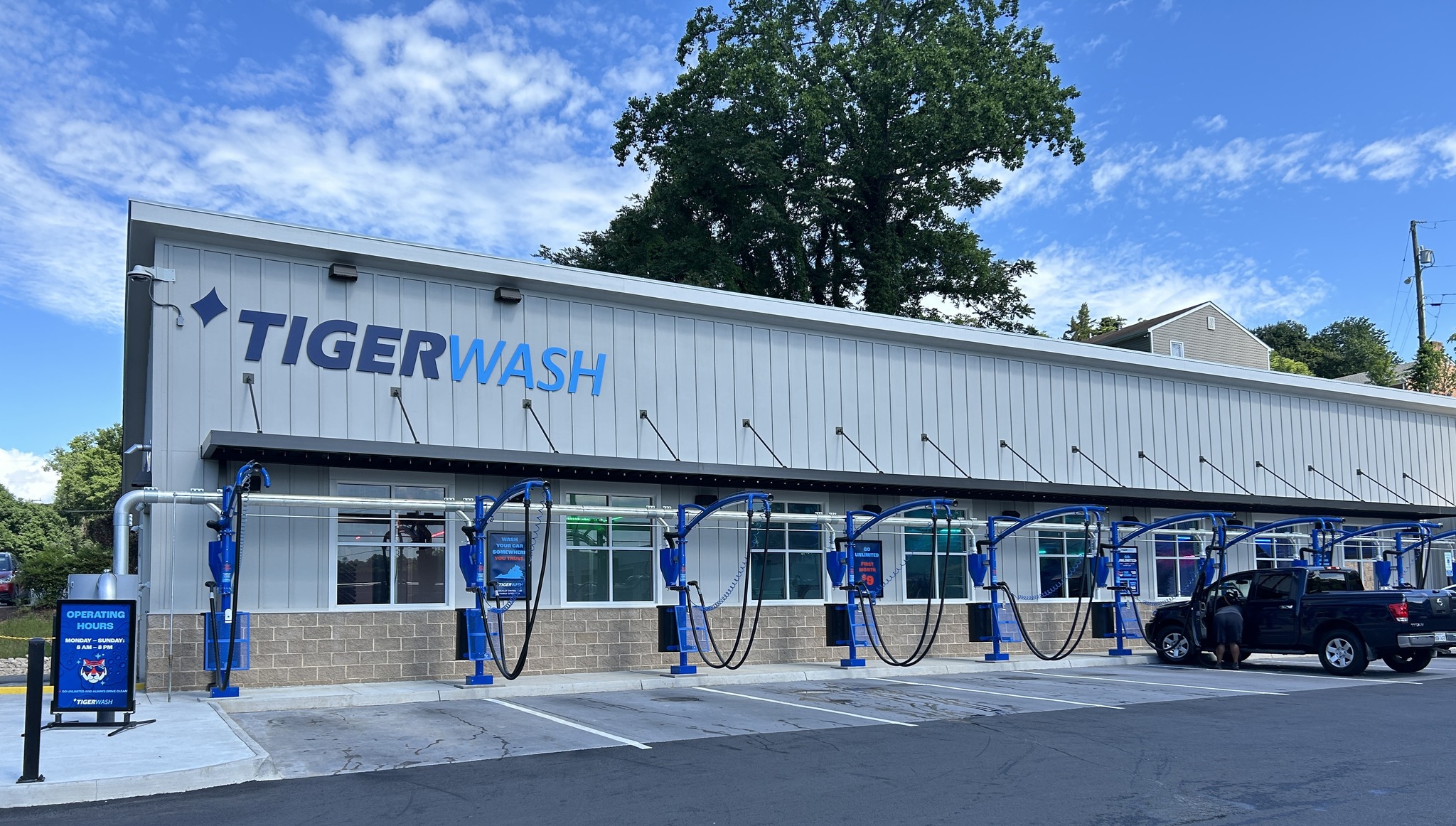 tiger wash image